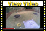 Rocket Umbrella Video